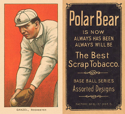 1909 White Borders Polar Bear Ganzel, Rochester #185 Baseball Card