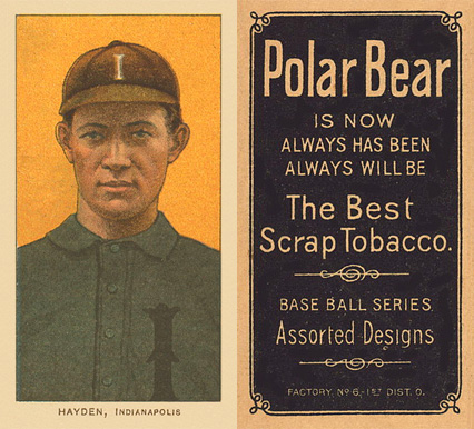 1909 White Borders Polar Bear Hayden, Indianapolis #207 Baseball Card